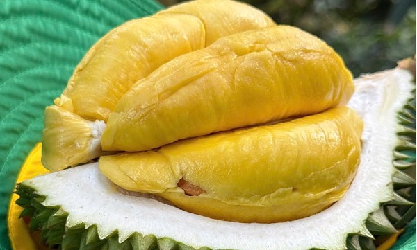 Gỡ nút thắt cho xuất khẩu sầu riêng sang Trung Quốc