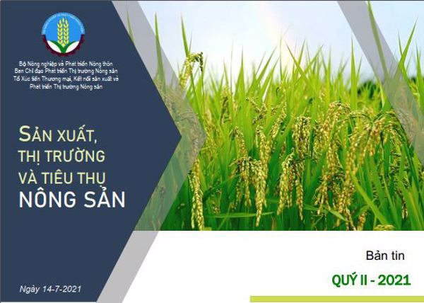 Sản xuất, Thị trường và Tiêu thụ Nông sản