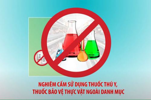 Hành vi cấm trong chăn nuôi, làm chín sớm hoa quả