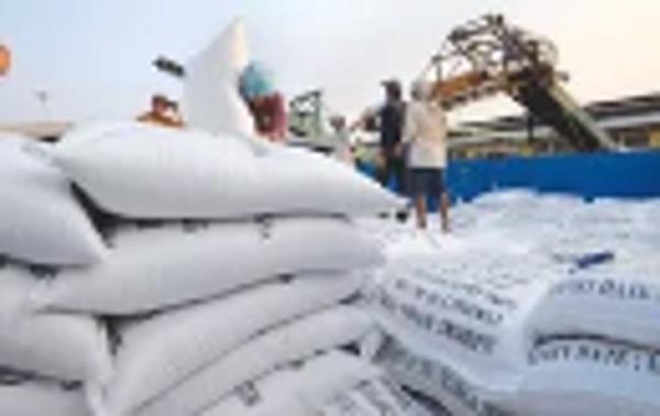 Gạo xuất khẩu vẫn chưa được gắn logo "Vietnam rice"